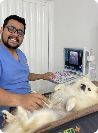 Aluno de pós-graduação Cenva fazendo ultrassom em cachorro