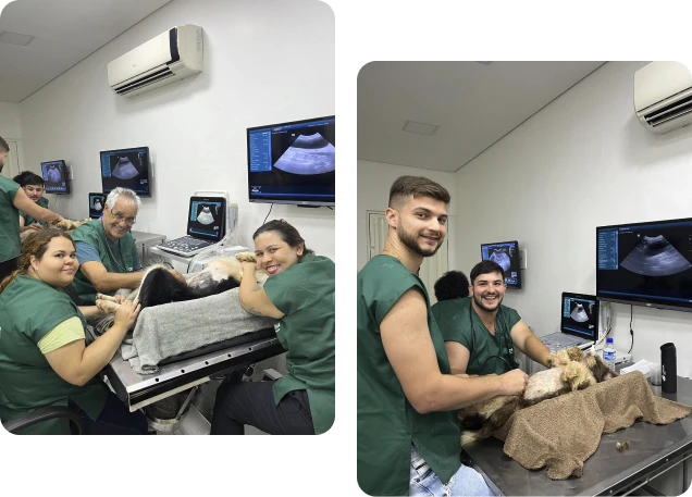 Alunos da pós-graduação Cenva fazendo diagnóstico por imagem em pequenos animais