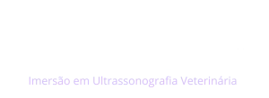 Logo Conexão Vet - Branca